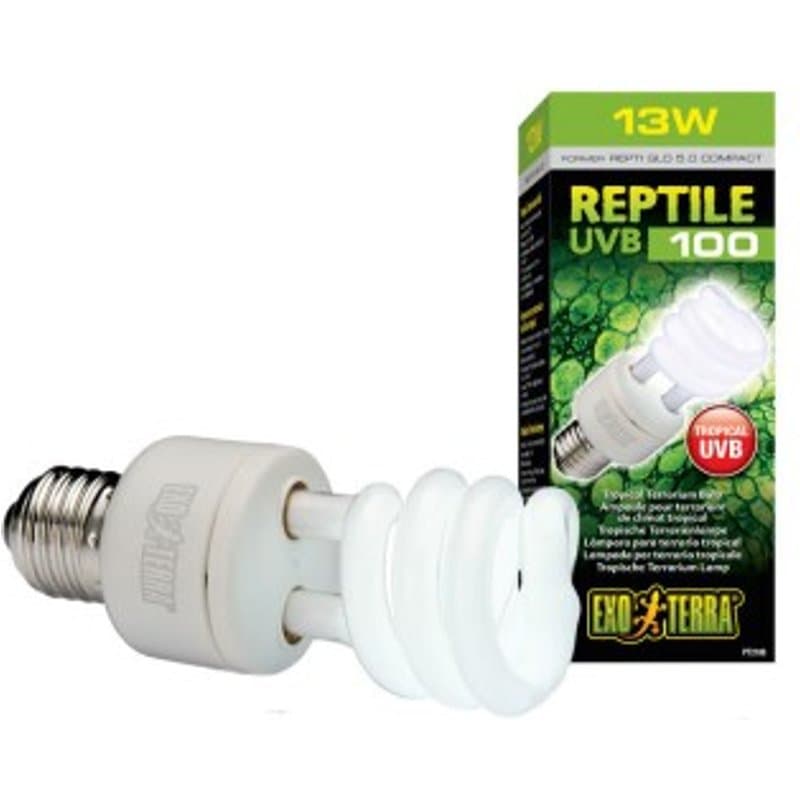 Quel éclairage UV choisir pour son reptile ? Guide complet 2026