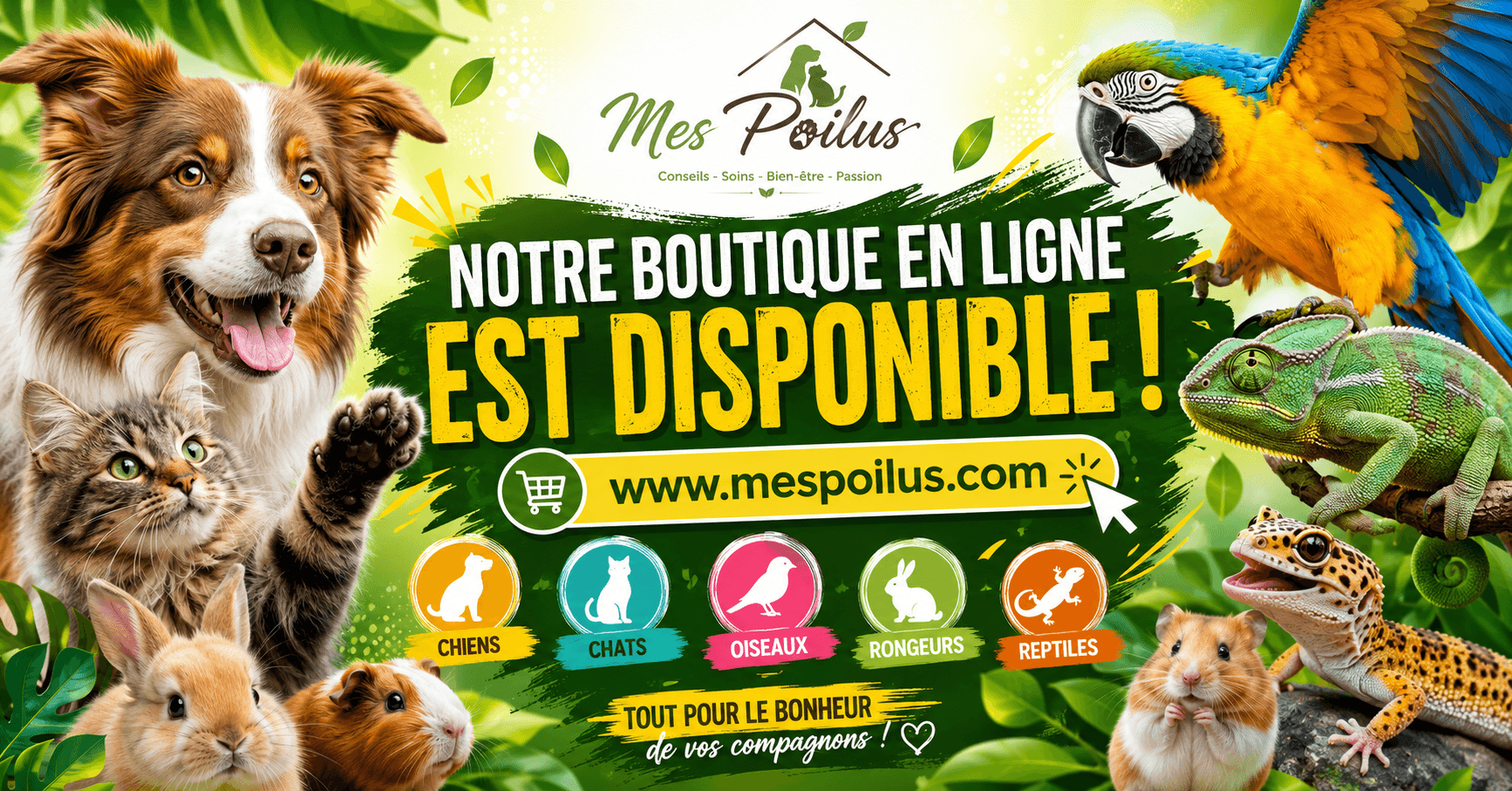 Découvrez Mes Poilus : votre boutique en ligne de produits pour animaux de compagnie